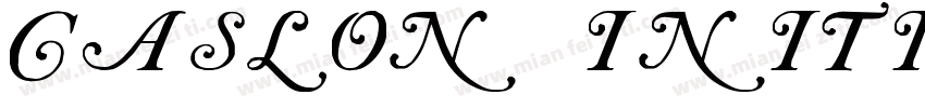 Caslon Initials Regu字体转换